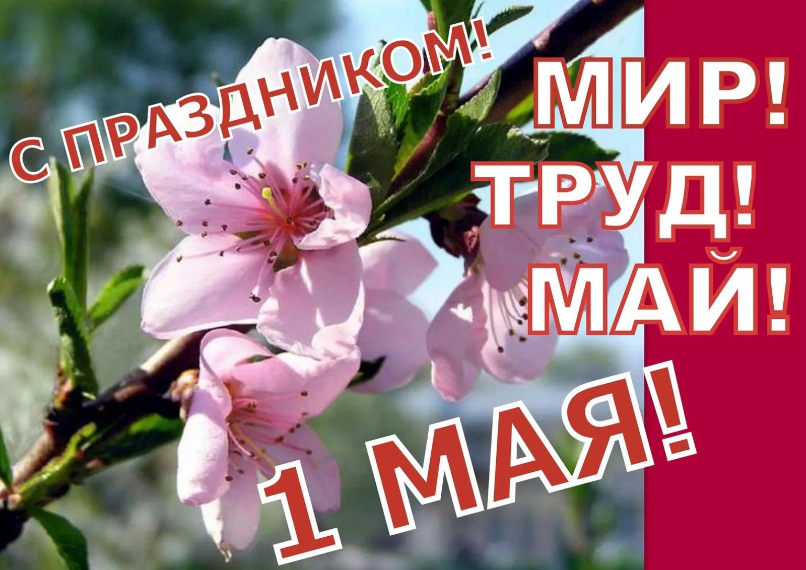 ПОЗДРАВЛЯЕМ С 1 МАЯ!!!