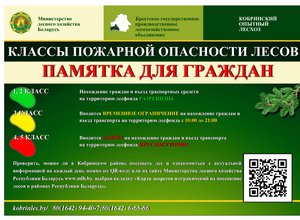 news title image