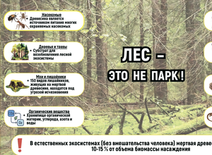 news title image